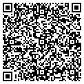 QR code with Cenex contacts