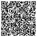 QR code with Callan contacts