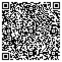 QR code with Shell contacts