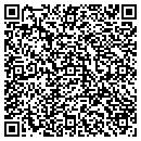 QR code with Cava Landscaping LLC contacts