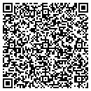 QR code with Colorado Lava Inc contacts