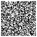 QR code with Chaney Meagan Studios contacts