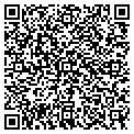 QR code with A Wise contacts