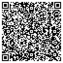 QR code with Blue World Studios Inc contacts