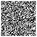 QR code with Punkin Hollow Studio contacts
