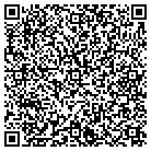 QR code with Brian's Auto Solutions contacts