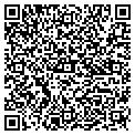 QR code with Vision contacts