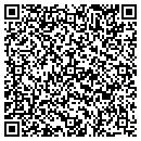 QR code with Premier Siding contacts
