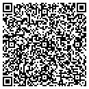 QR code with Carousel Multimedia contacts