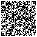 QR code with Gotkoi contacts