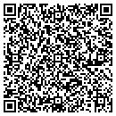 QR code with Brians Tire & Service contacts