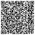QR code with Esteem Multi Media contacts