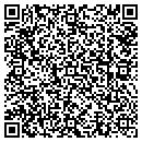 QR code with Psyclic Studios LLC contacts