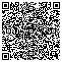 QR code with Solhem contacts