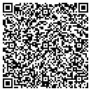 QR code with Punjab International contacts