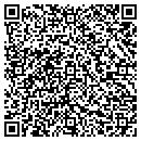 QR code with Bison Communications contacts