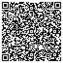 QR code with Premier Siding Inc contacts