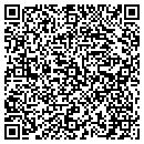 QR code with Blue Cat Studios contacts
