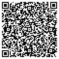 QR code with Raceway contacts