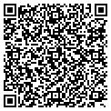 QR code with Collatz contacts