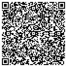 QR code with Pulau Electronics Corp contacts