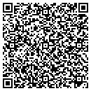 QR code with Production Connection contacts