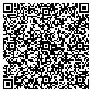 QR code with Premier Plumbing contacts