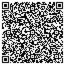 QR code with Precision I O contacts