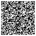QR code with B P VA contacts