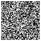 QR code with Pulsar Development Inc contacts
