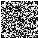 QR code with Chesapeake Steel Inc contacts
