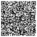 QR code with Wlda contacts