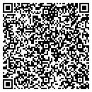 QR code with Carusone Construction contacts
