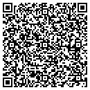 QR code with Precise Editor contacts