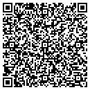 QR code with Provident Construction contacts