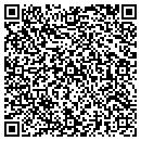 QR code with Call The Tax Doctor contacts