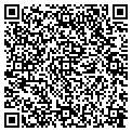 QR code with Storm contacts