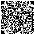 QR code with Cifc contacts