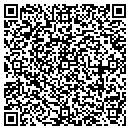 QR code with Chapin Foundation Inc contacts