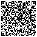 QR code with Citgo contacts