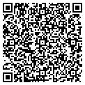QR code with Ldg Corp contacts