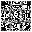 QR code with Knwz contacts