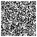 QR code with Professional Steel contacts