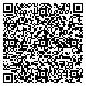 QR code with Dogout contacts