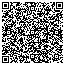 QR code with C R Pressure Washers contacts