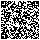 QR code with Premier Auto Group contacts