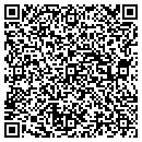 QR code with Praise Construction contacts