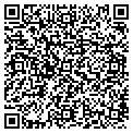 QR code with Wfln contacts