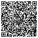 QR code with Wqam contacts
