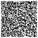 QR code with Pride In Paint contacts